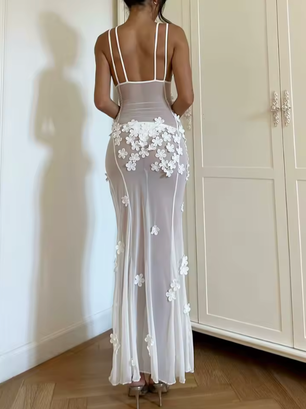 Robe transparente avec dentelle